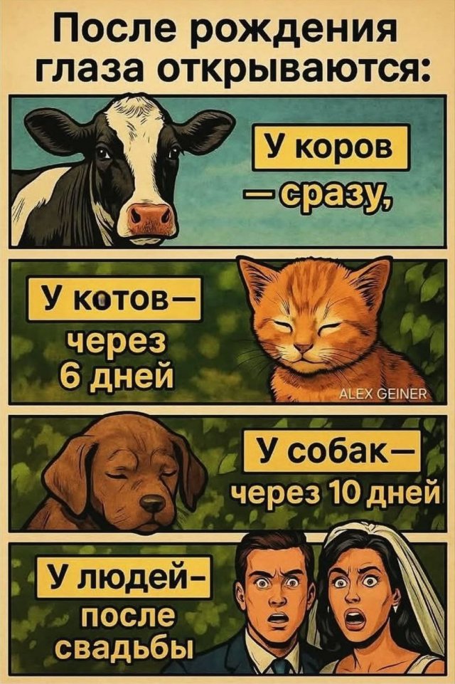 Лучшие шутки и мемы из Сети - 12.08.2025