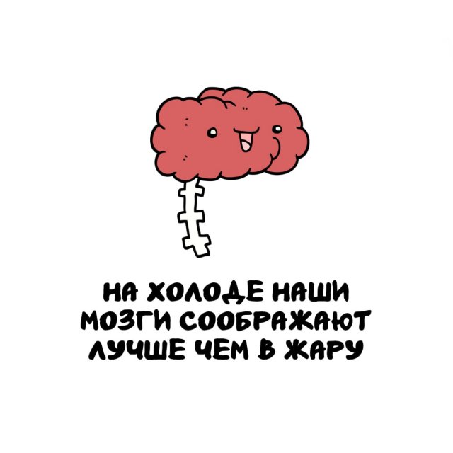 Интересные факты на все случаи жизни