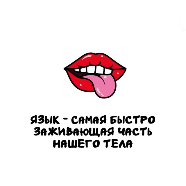 Интересные факты на все случаи жизни