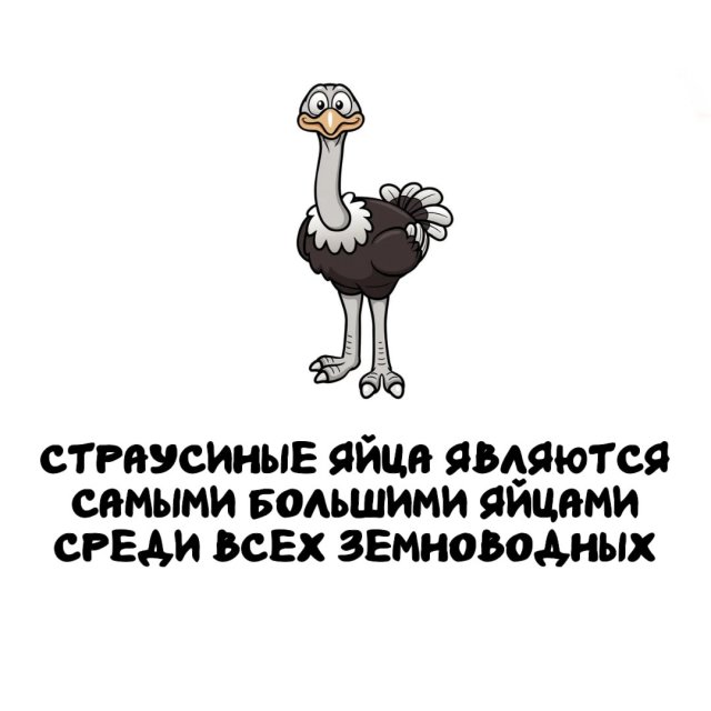 Интересные факты на все случаи жизни