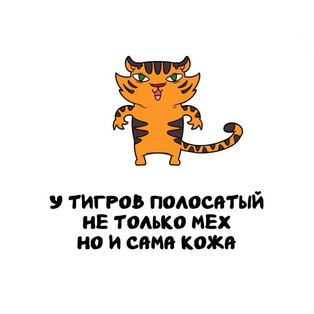 Интересные факты на все случаи жизни