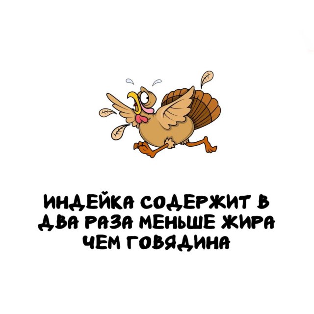 Интересные факты на все случаи жизни