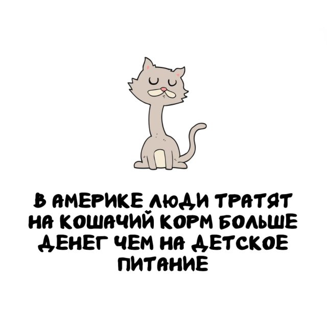 Интересные факты на все случаи жизни