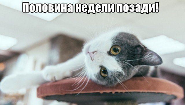 Трынделка - 13.08.2025