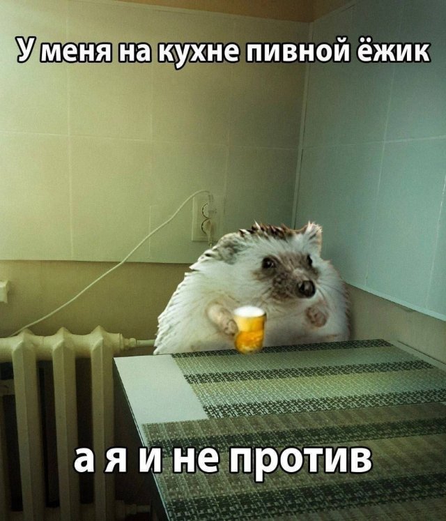 Лучшие шутки и мемы из Сети - 13.08.2025