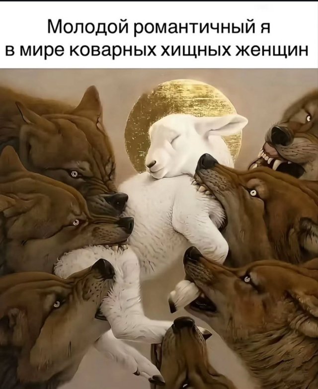 Лучшие шутки и мемы из Сети - 13.08.2025