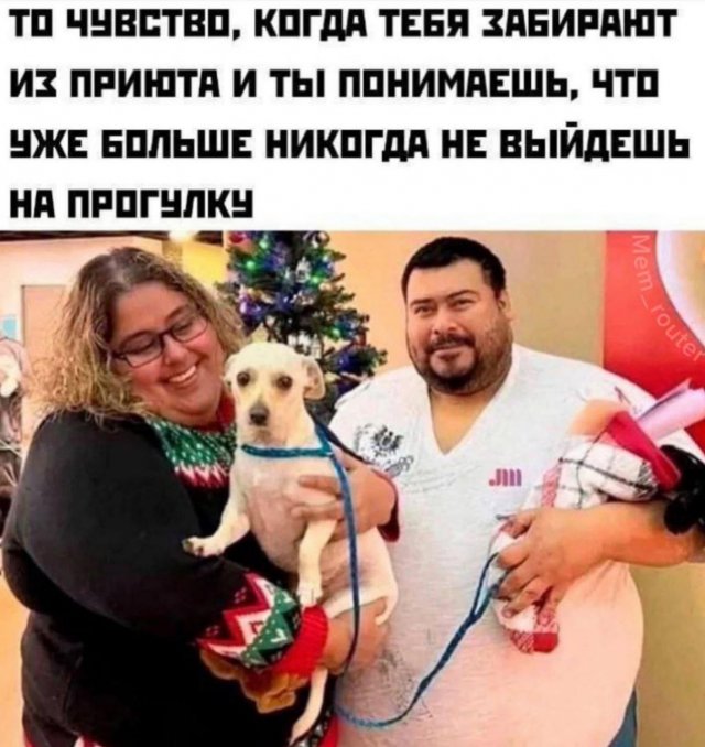 Лучшие шутки и мемы из Сети - 13.08.2025