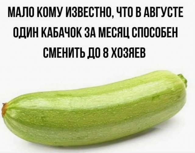 Лучшие шутки и мемы из Сети - 13.08.2025