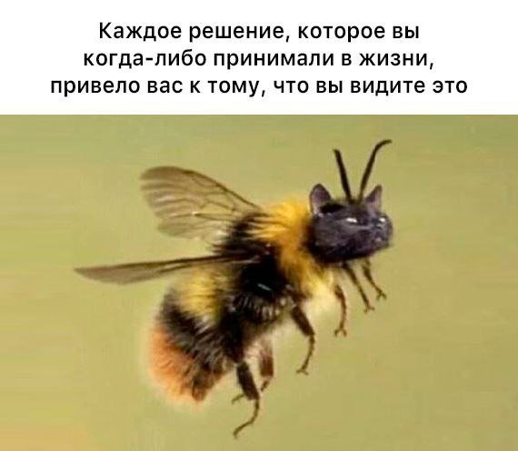 Лучшие шутки и мемы из Сети - 13.08.2025