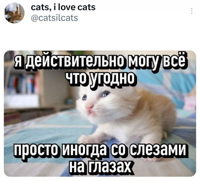 Подборка забавных твитов обо всем