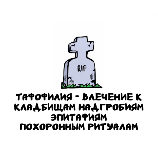 Интересные факты на все случаи жизни