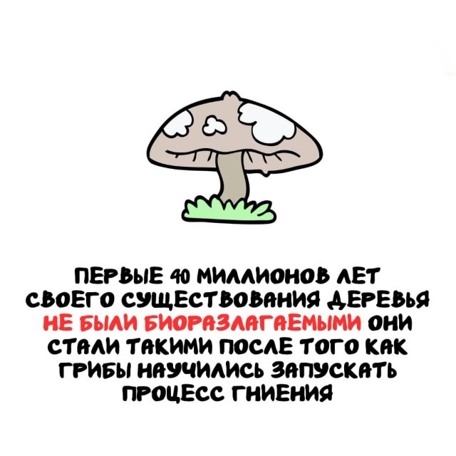 Интересные факты на все случаи жизни