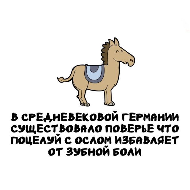 Интересные факты на все случаи жизни