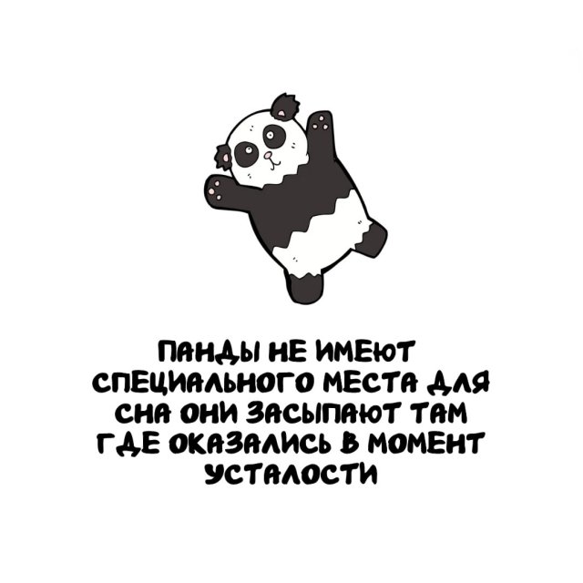 Интересные факты на все случаи жизни