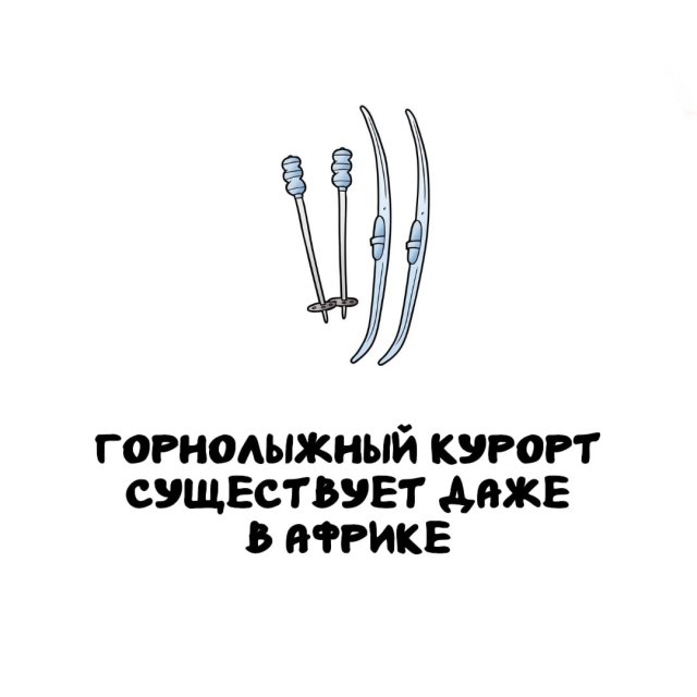 Интересные факты на все случаи жизни