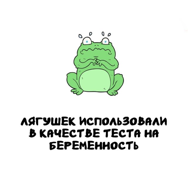 Интересные факты на все случаи жизни