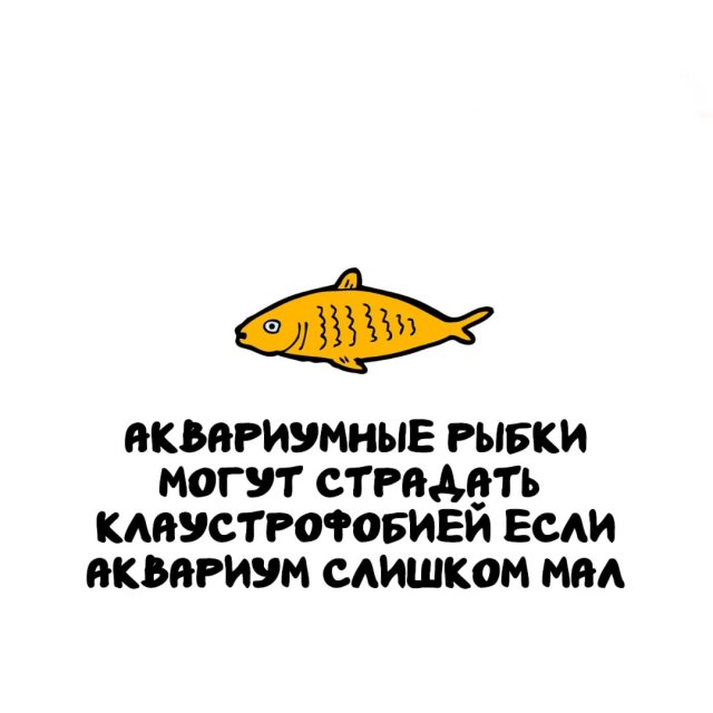 Интересные факты на все случаи жизни