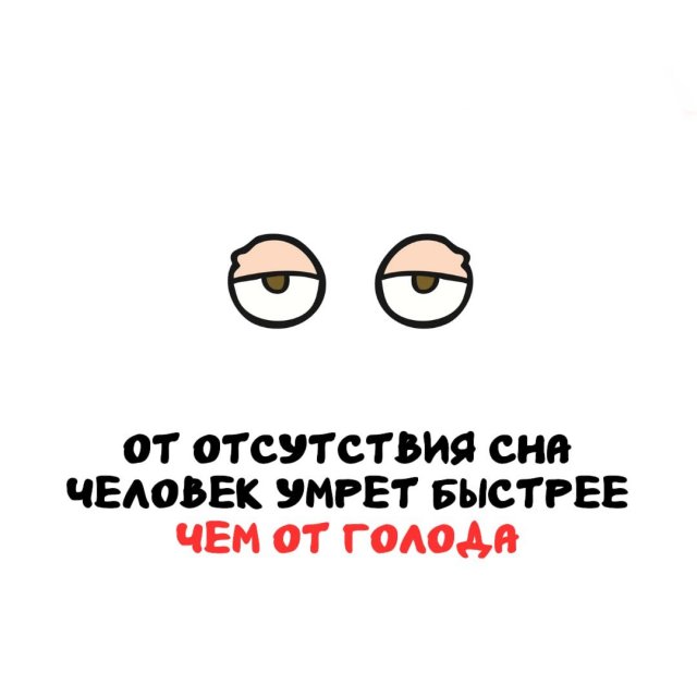 Интересные факты на все случаи жизни