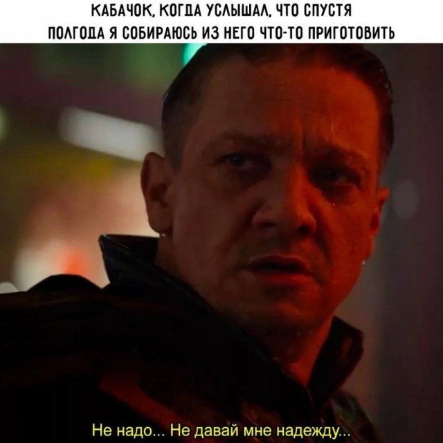Лучшие шутки и мемы из Сети - 14.08.2025