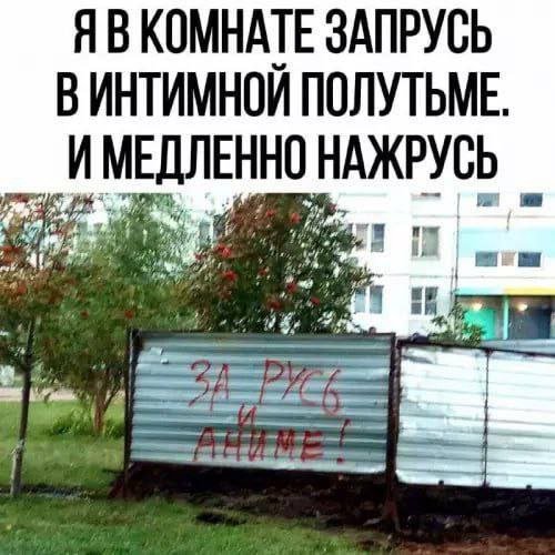 Лучшие шутки и мемы из Сети - 14.08.2025