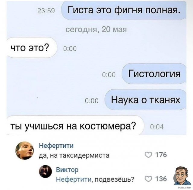 Лучшие шутки и мемы из Сети - 14.08.2025