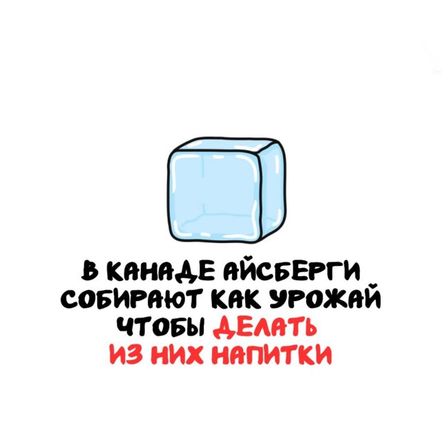 Интересные факты на все случаи жизни