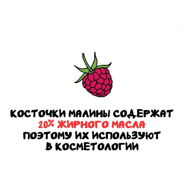 Интересные факты на все случаи жизни