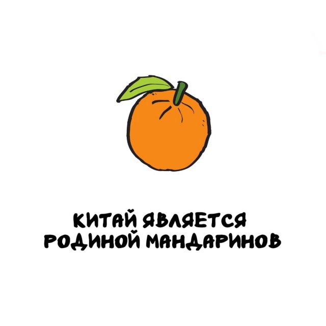 Интересные факты на все случаи жизни
