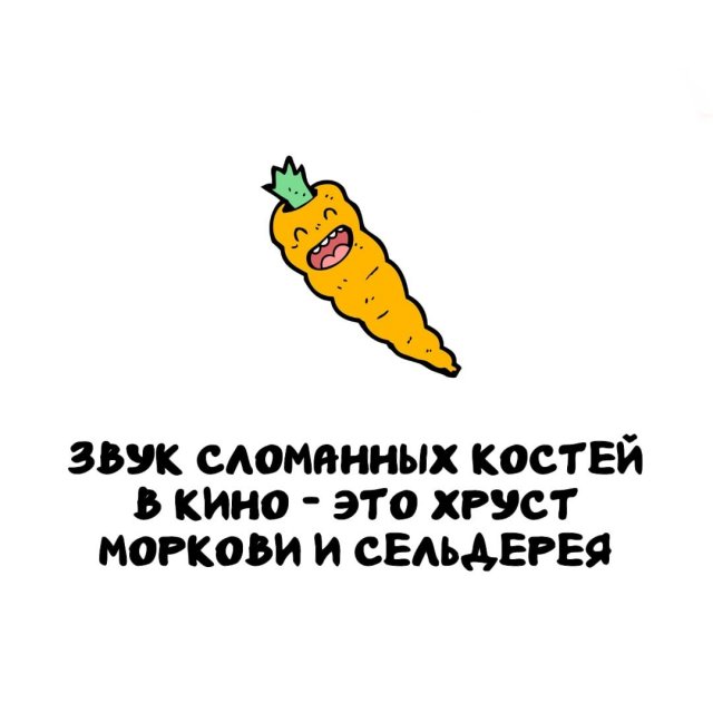 Интересные факты на все случаи жизни