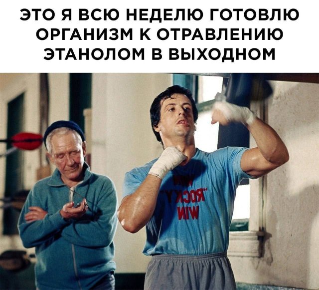 Подборка картинок. Вечерний выпуск - 14.08.2025