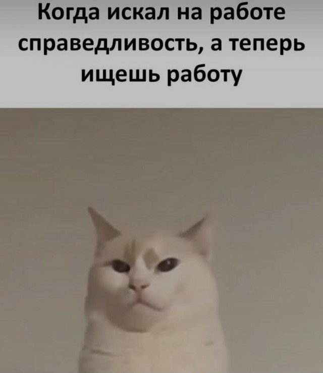 Лучшие шутки и мемы из Сети - 16.08.2025