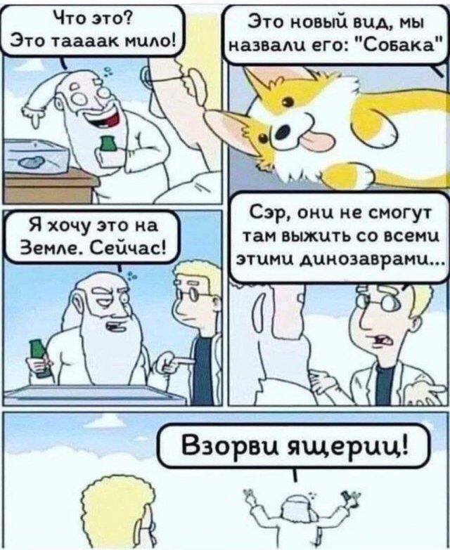 Лучшие шутки и мемы из Сети - 16.08.2025