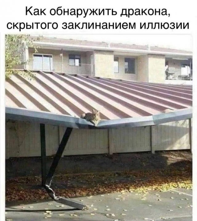 Лучшие шутки и мемы из Сети - 16.08.2025