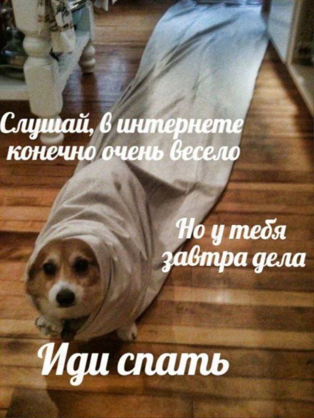 Лучшие шутки и мемы из Сети - 16.08.2025