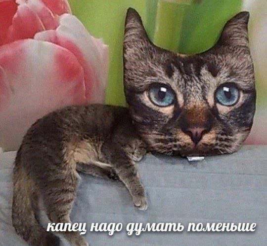 Лучшие шутки и мемы из Сети - 16.08.2025
