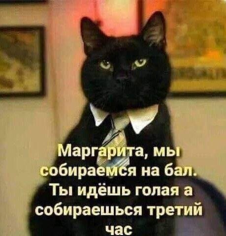 Лучшие шутки и мемы из Сети - 16.08.2025