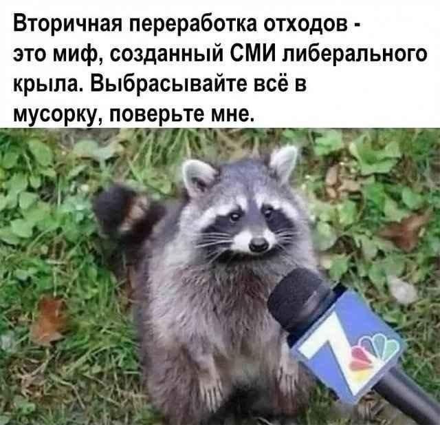 Смешные мемы - 18.08.2025