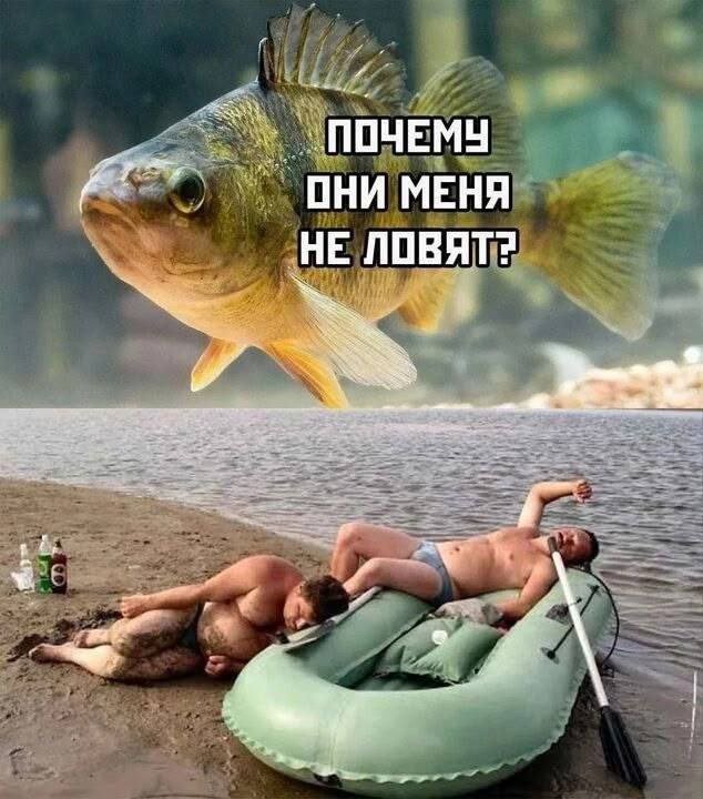 Смешные мемы - 18.08.2025