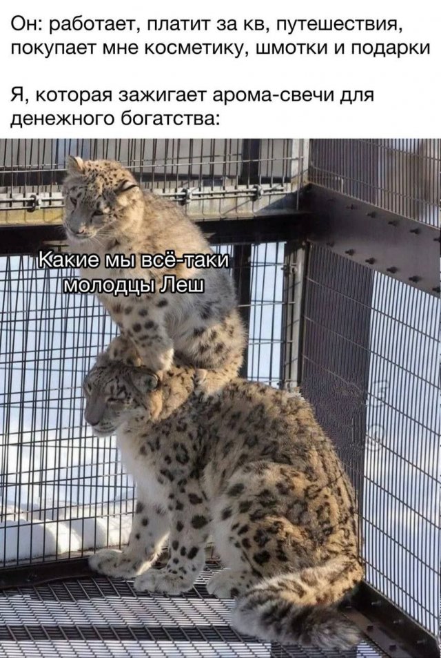 Смешные картинки - 18.08.2025