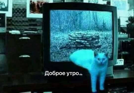 Смешные картинки - 18.08.2025