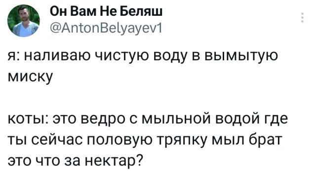 Смешные картинки - 18.08.2025