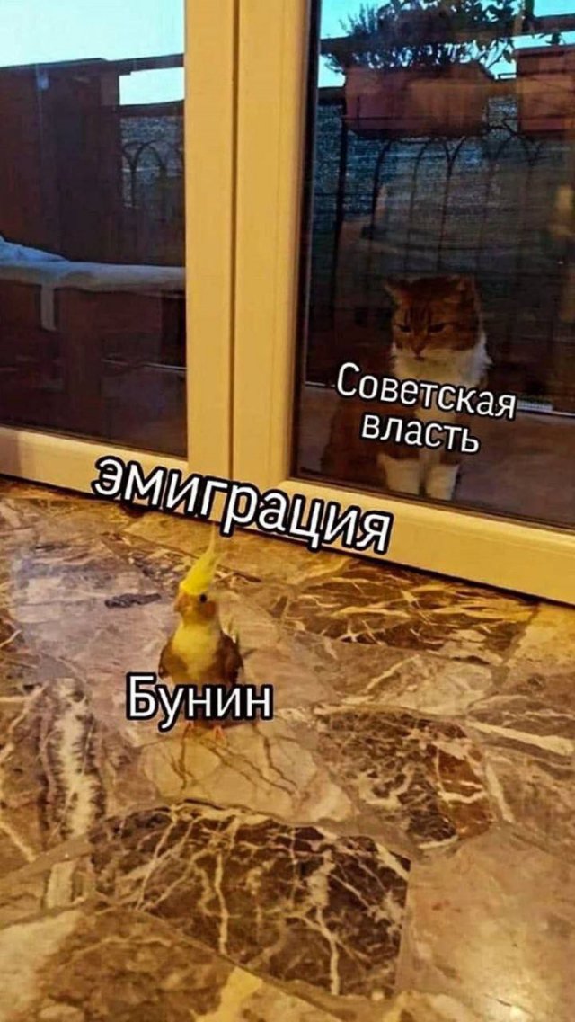 Смешные картинки - 18.08.2025