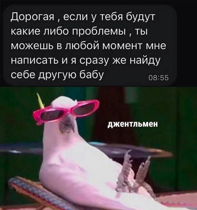 Лучшие шутки и мемы из Сети - 18.08.2025