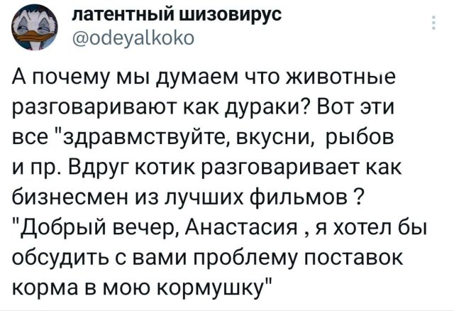 Подборка забавных твитов обо всем