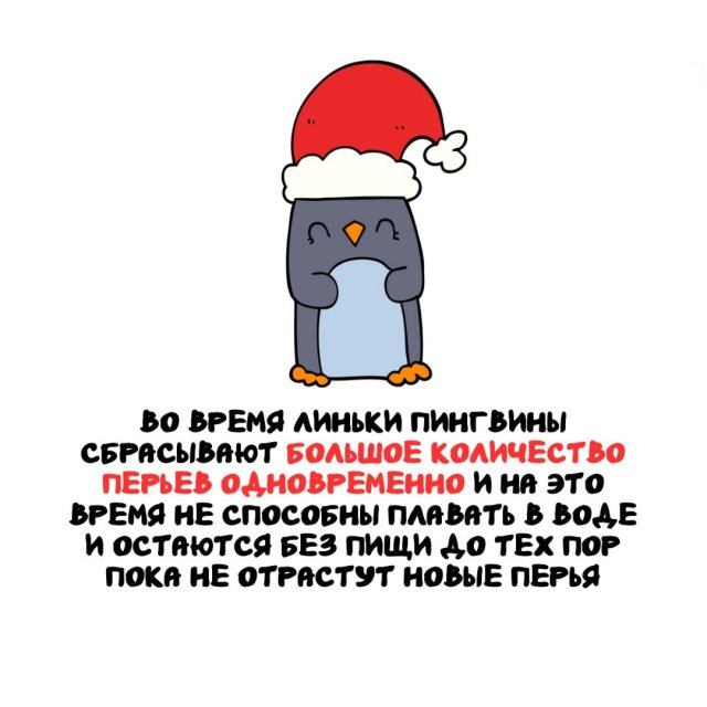 Интересные факты на все случаи жизни