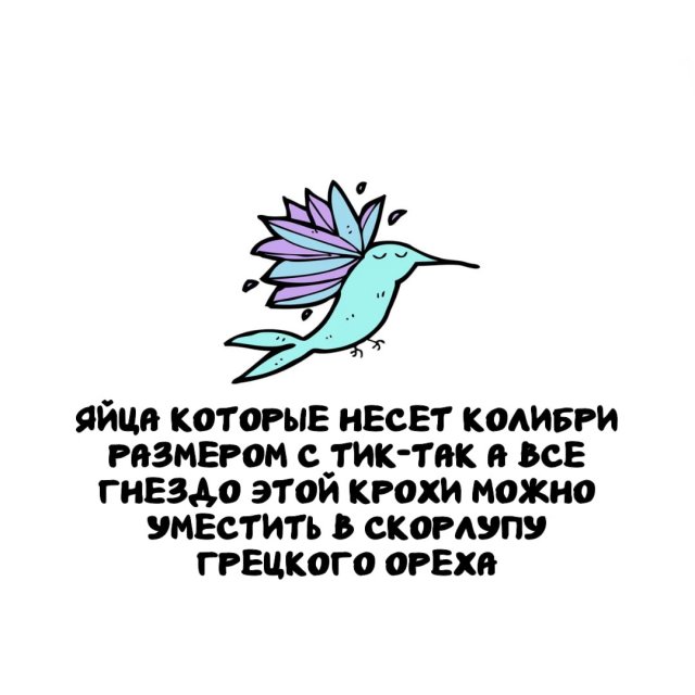 Интересные факты на все случаи жизни