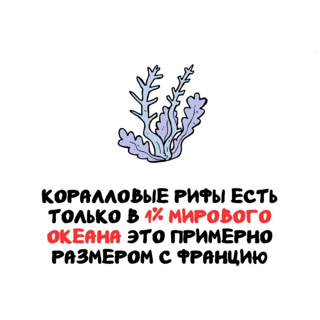 Интересные факты на все случаи жизни