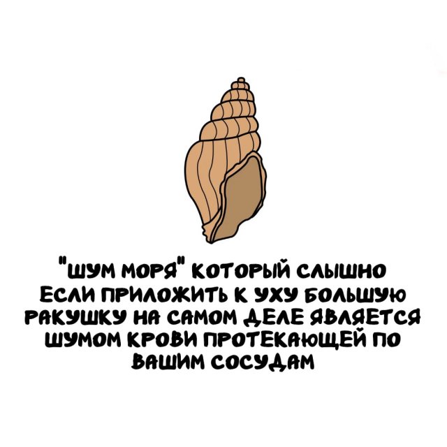 Интересные факты на все случаи жизни