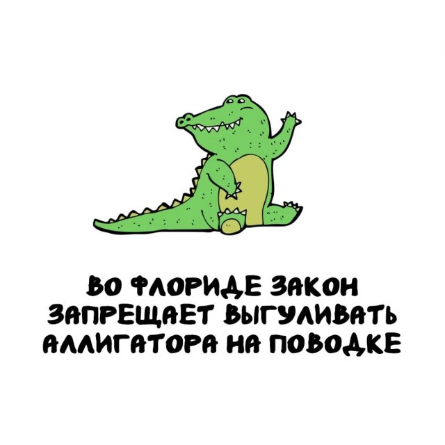 Интересные факты на все случаи жизни
