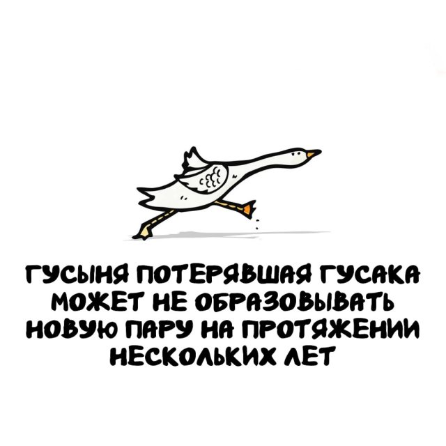Интересные факты на все случаи жизни